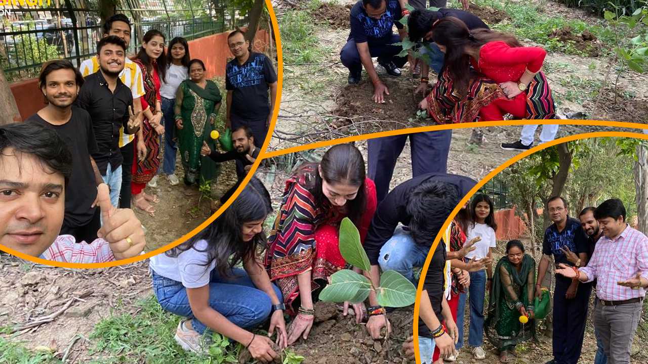 tree plantation - mansingh foundation images